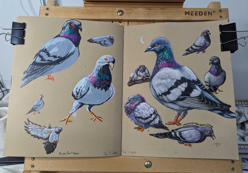 Pigeon Pages 1 (1st half acrylic paint marker, 2nd half gouache)