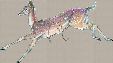 Running Deer (Pencil Crayon)