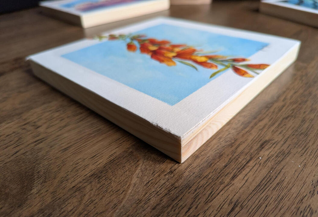 Foxglove in Watercolour (8&quot;x8&quot;)