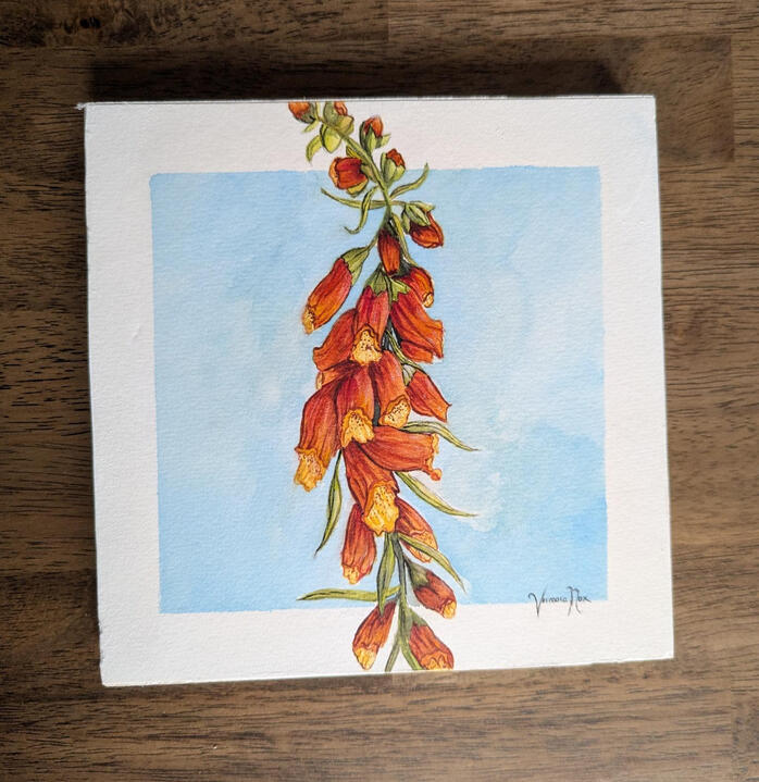Foxglove in Watercolour (8&quot;x8&quot;)
