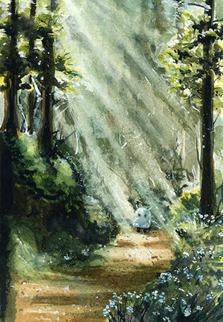 Forget-Me-Not (Watercolour)