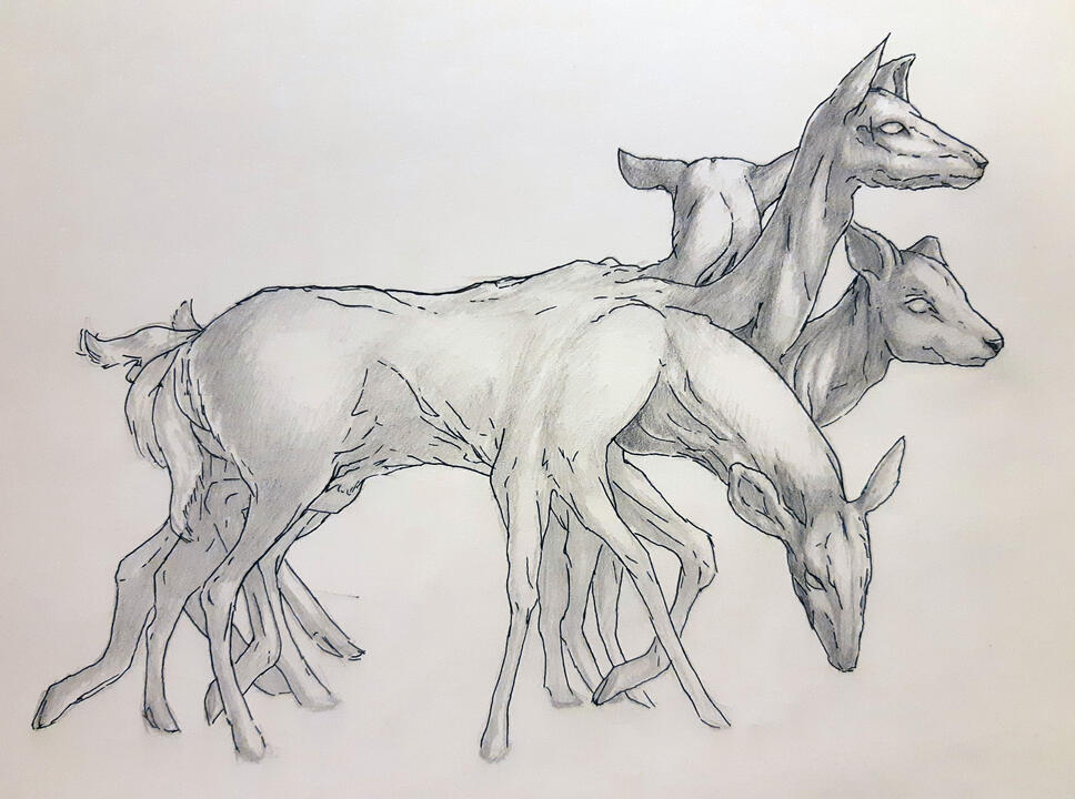 Oh Deer (Ink &amp; Pencil)