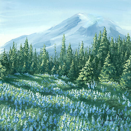 Lupins (Gouache)